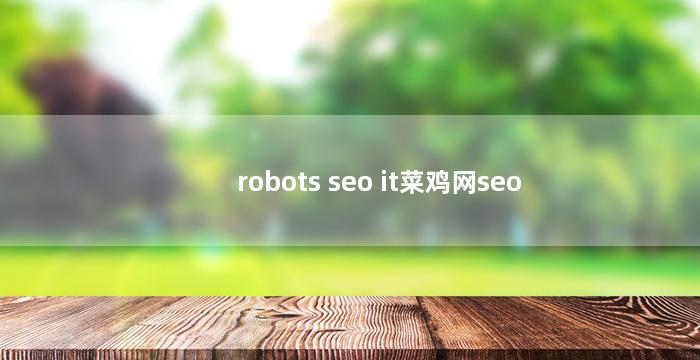 robots seo it菜鸡网seo